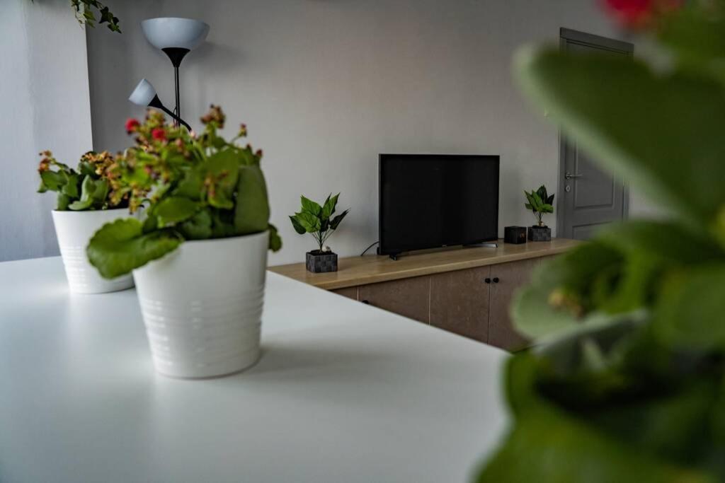 Appartamento Modern 1 Bedroom In Center!